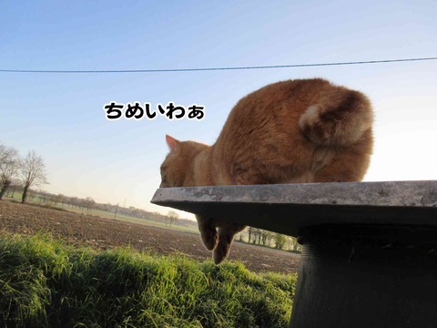 落ちない 4