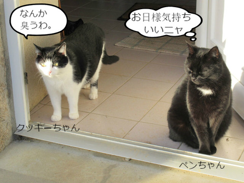 BlogPaint