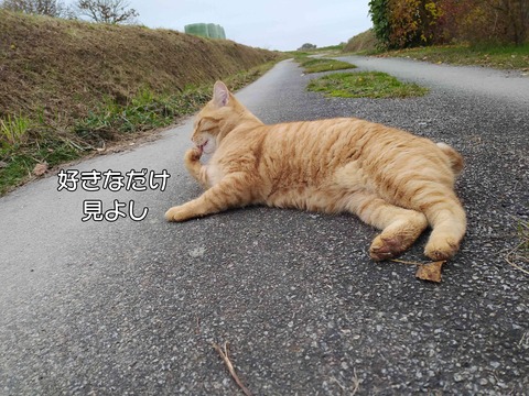 寝転がる 6