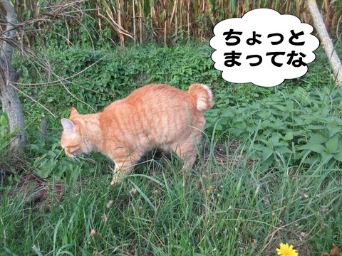 きた 3