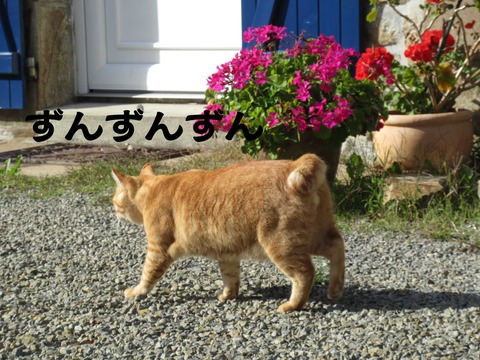 きた 12