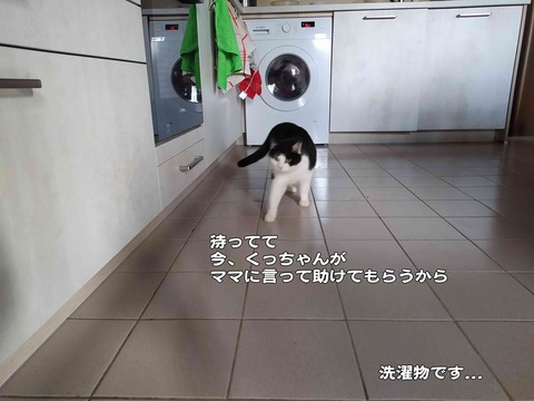 変わってる 6