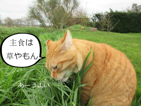 BlogPaint
