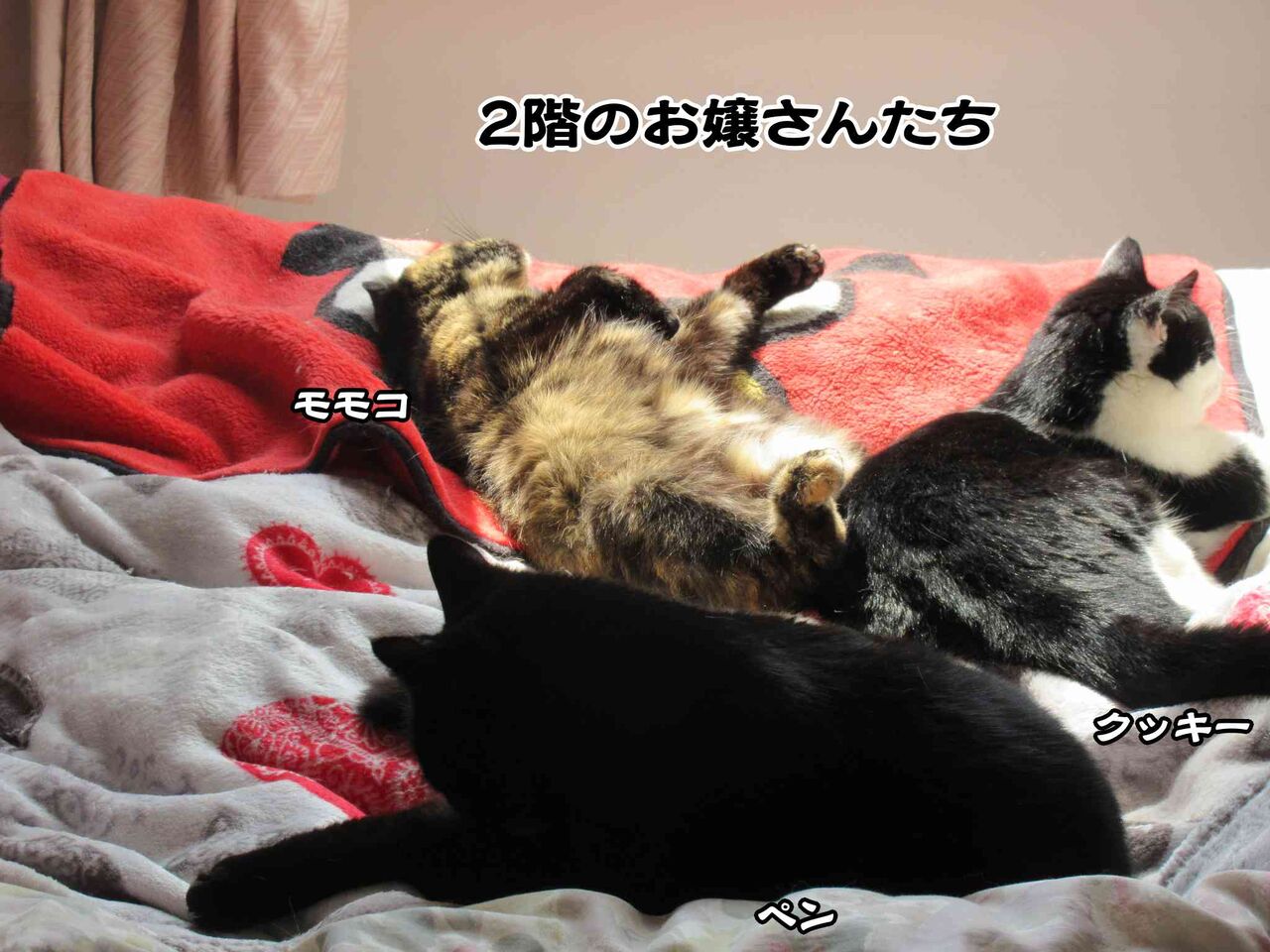 警察への襲撃事件 軽すぎる刑罰 ソワレが要らないフランス暮らし 警察への襲撃事件 軽すぎる刑罰 ソワレが要らないフランス暮らし