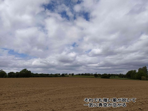 雨が降る 5