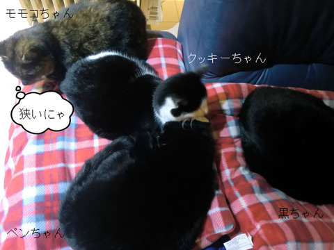 BlogPaint