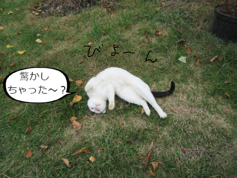 BlogPaint