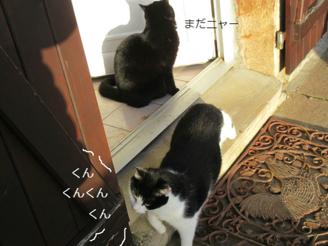 BlogPaint