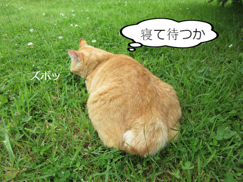 BlogPaint