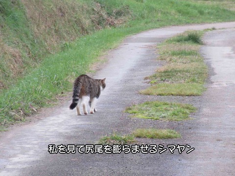 後ろ姿　3