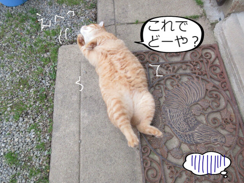 BlogPaint