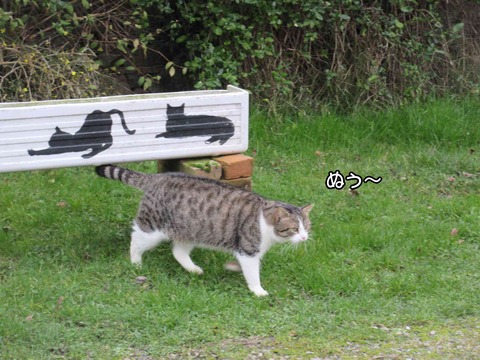 後ろ姿　2