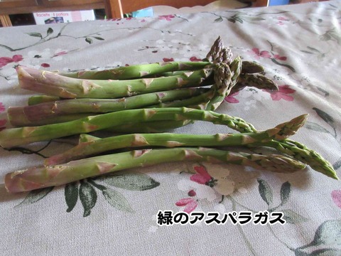 アスパラガス 2