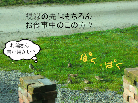 BlogPaint
