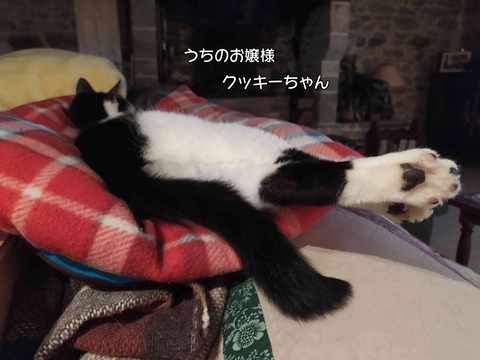 コンテナ 4