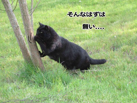誰やねん 1