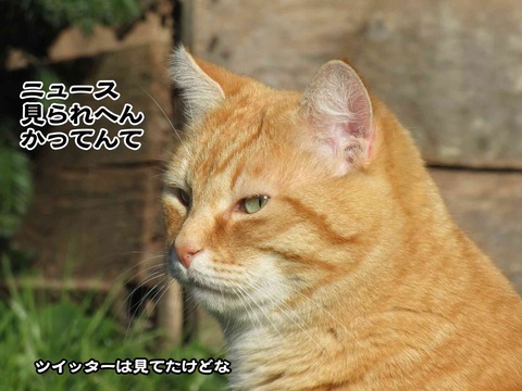 今日もサボり 2