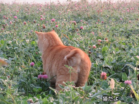 霧の中 3