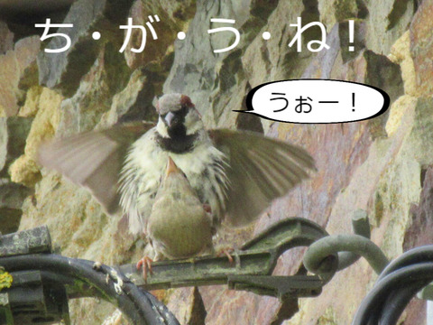BlogPaint