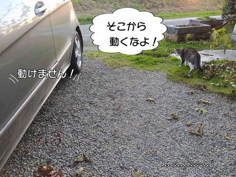 交渉 5