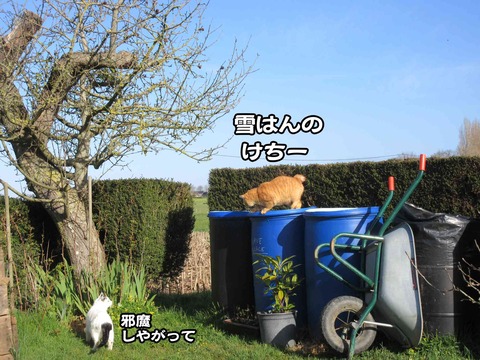 手伝う 6