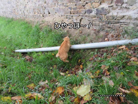 溝 6
