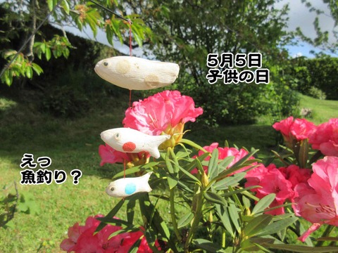 ご褒美 6