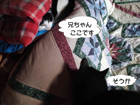 クッキーちゃん 3