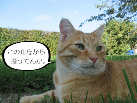 BlogPaint