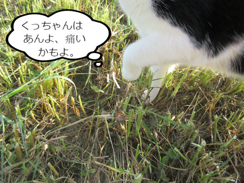 BlogPaint
