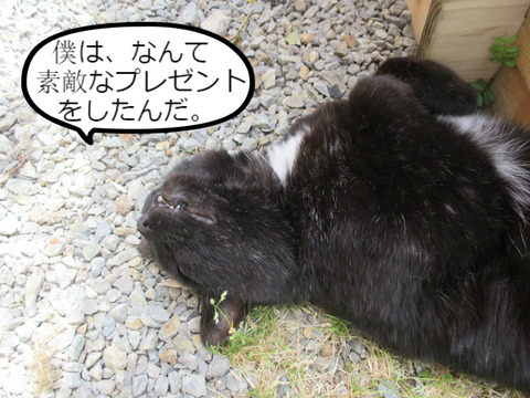 BlogPaint