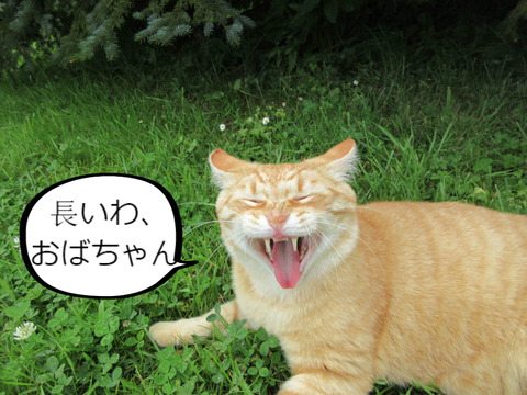 BlogPaint