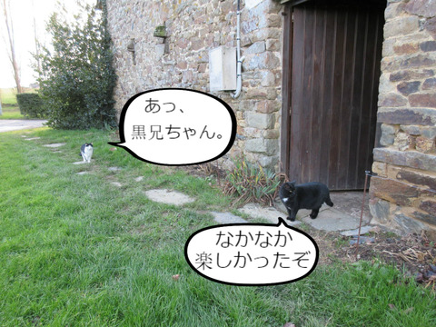 BlogPaint