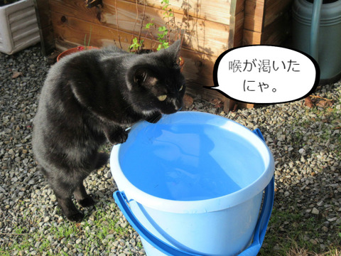 BlogPaint