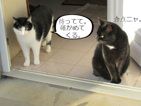 BlogPaint