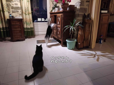 変わってる 2