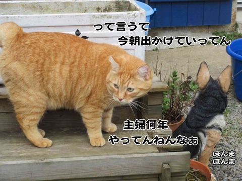 れ~ろ 8