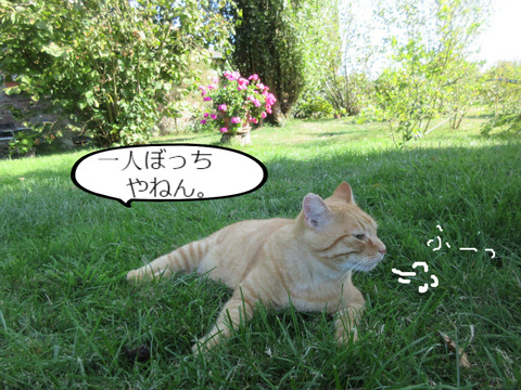 BlogPaint