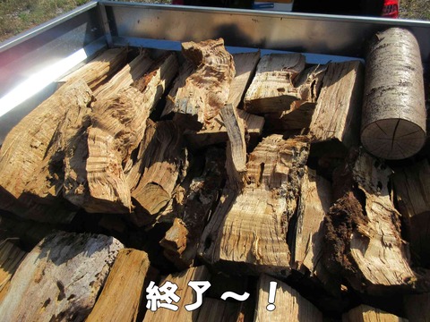 まき 16