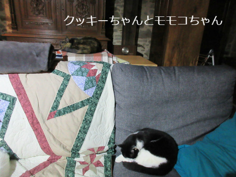 BlogPaint