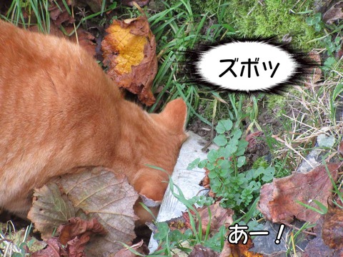 溝 3