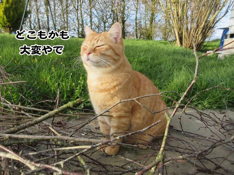 4月5日 12
