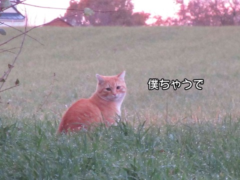 誰? 2