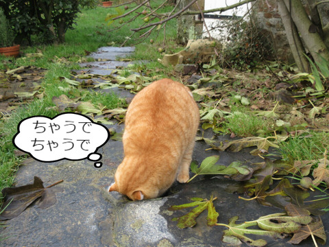 BlogPaint