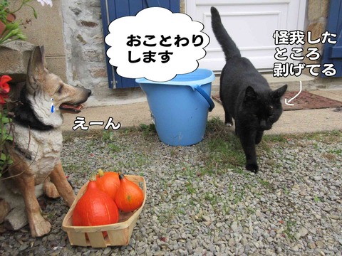 ハロウィン 4
