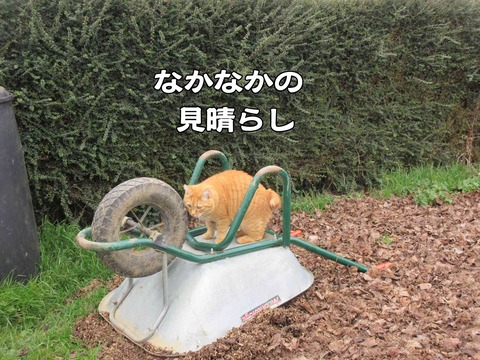 発射台 3