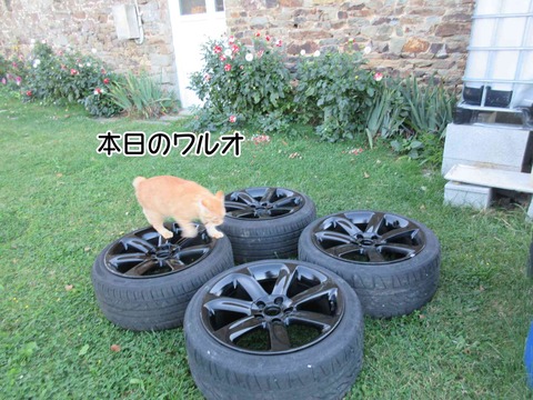 フォンダンショコラ 4