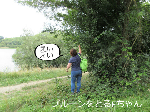 BlogPaint