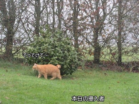 違い 5
