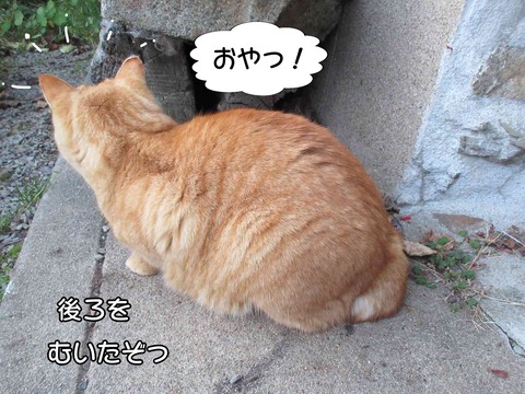 大人の対応 3
